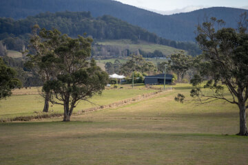 <b>MEET THE COMMITTEE</b>