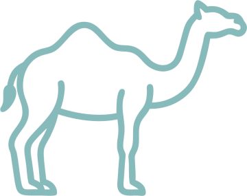 <b>CAMEL RACING</b>