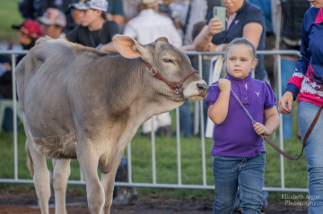 About - Kempsey Show